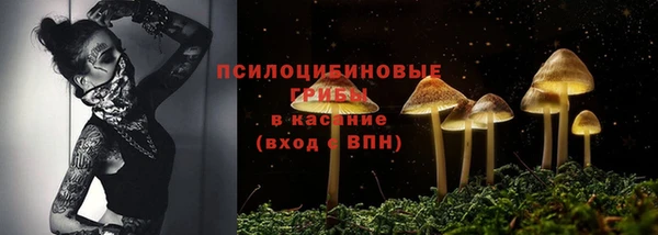 мескалин Баксан