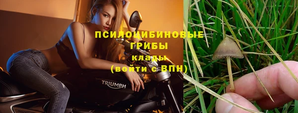 стафф Балабаново