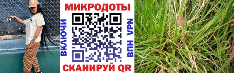 Галлюциногенные грибы мухоморы  Купить где  Боровск 